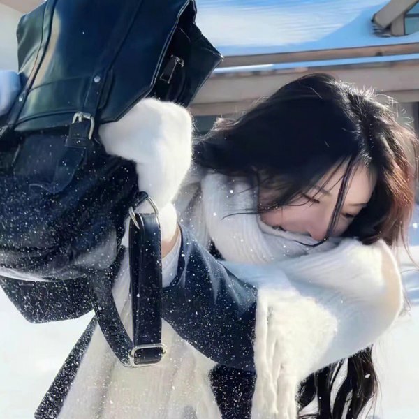 烟花女驼龙